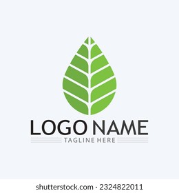 Green leaf Logos of green Tree leaf ecology nature element vector