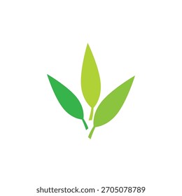 Green Leaf logos vector and symbol