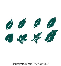 green leaf with many shapes vector illustration