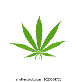 Green leaf of marijuana isolated on white background. Vector illustration.