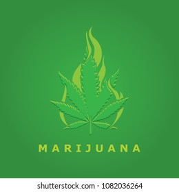 green leaf marijuana/design of cannabis vector leaf 