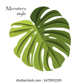 Green leaf of monstera close-up on a white background. Illustration isolated white background. Nature wallpaper.