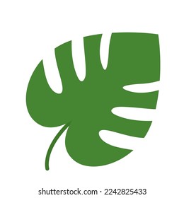 Hoja verde de la planta de Monstera, aislada en un fondo blanco. Ilustración vectorial.
