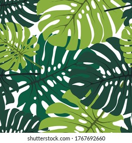 green leaf monstera seamless pattern