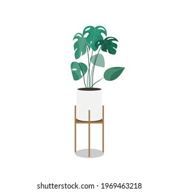 Monstruo de hoja verde en macetas blancas sobre piernas de madera aisladas sobre fondo blanco , Vector Illustración EPS 10
