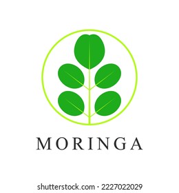 green leaf moringa vector logo