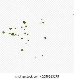 Green Leaf Motion Vector Transparent Background Brochure. Herbal Greens Wallpaper. Grassy Foliage Blur Plant. Leaves Abstract Illustration.