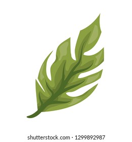 green leaf natural