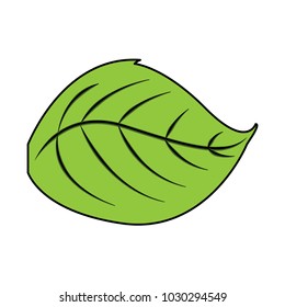 green leaf natural foliage botanical icon