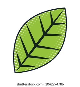 green leaf natural foliage icon