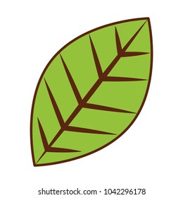 green leaf natural foliage icon