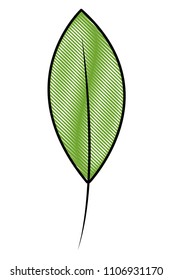 green leaf natural foliage image