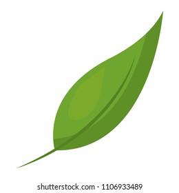 green leaf natural foliage image