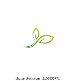Green leaf, natural leaf icon logo design template vector
