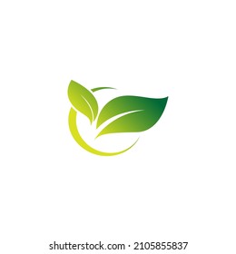 Green leaf, natural leaf icon logo design template vector