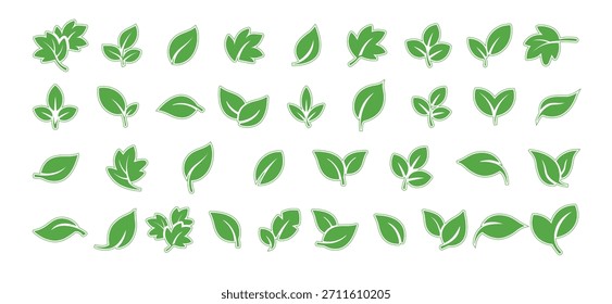 Conjunto de iconos naturales de hojas verdes y hojas de colección Elementos eco bio etiquetas de fondo transparente