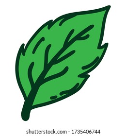 Green Leaf natural illustration simple design template
