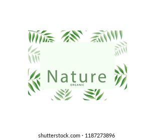 Green leaf is natural as organic