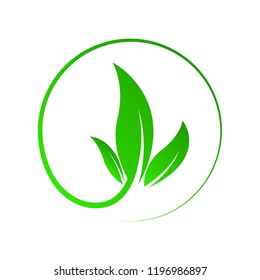 Green leaf nature circle isolated. Vector illustration. Concept of green energy. Nature herbal organic leaf