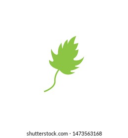Green leaf nature ecology icon and symbol vector illustration
