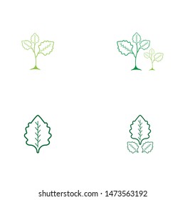 Green leaf nature ecology icon and symbol vector illustration
