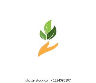 Green leaf nature element