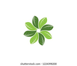 Green leaf nature element