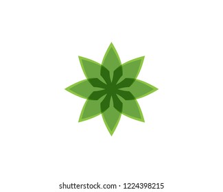 Green leaf nature element