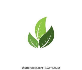 Green leaf nature element