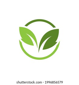 green leaf nature element ecology vector design