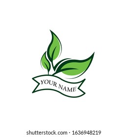 Green leaf nature element vector icon.
