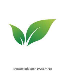 Green leaf nature element vector icon.