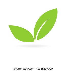 Green leaf nature element vector, logo design in Earth Day isolated on white background, Vector illustration EPS 10