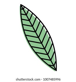 green leaf nature foliage botanical