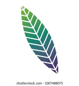green leaf nature foliage botanical