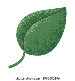 green leaf nature foliage icon