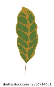 green leaf nature icon design isolated