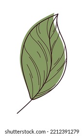 green leaf nature icon isolated