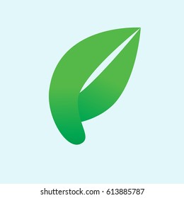 green leaf   nature  icon sign  vector eps.10