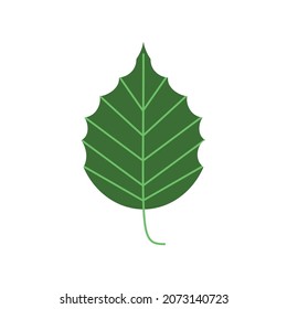 green leaf nature icon style