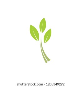 green leaf nature logo