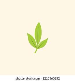 green leaf nature logo