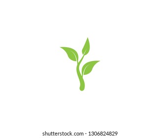 Green leaf nature logo
