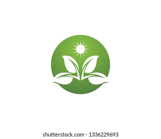 Green leaf nature logo
