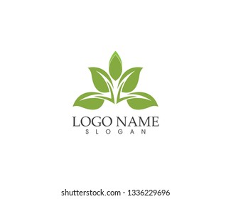 Green leaf nature logo