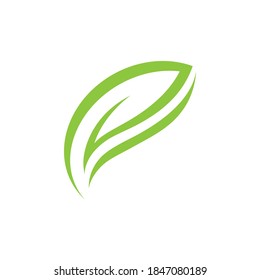Green Leaf , Nature Logo design vector template