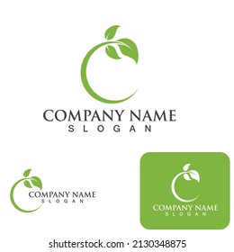 Green leaf nature logo ecology vector