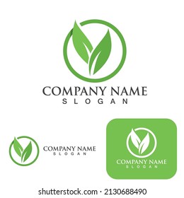 Green leaf nature logo ecology vector