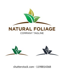 Green Leaf Nature Logo Template