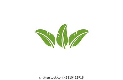 Green Leaf nature vector design